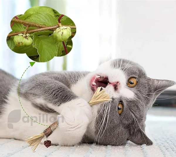فنر اسپیرال گربه Andiker | اسباب بازی جویدنی گربه 3عددی